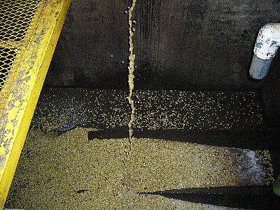 発酵槽へ