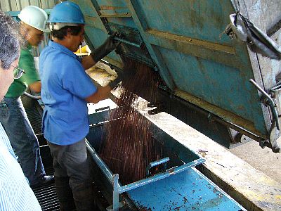 トラックから水槽へ